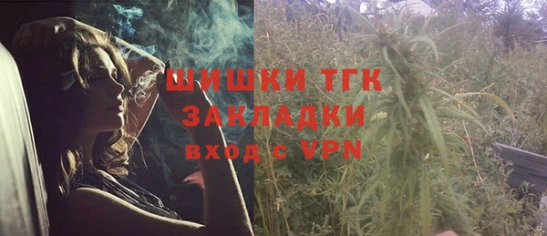 крисы Белокуриха