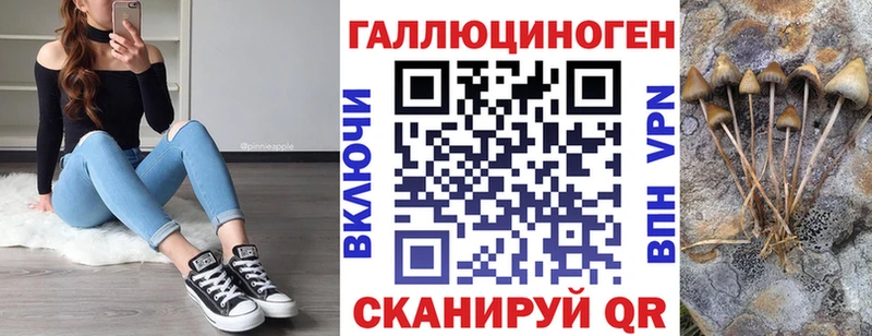 цена   Печора  Галлюциногенные грибы Cubensis 